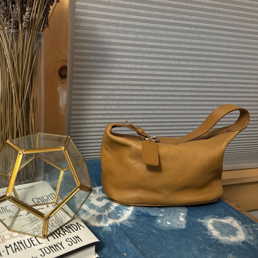 Y2K Coach Bag 4145